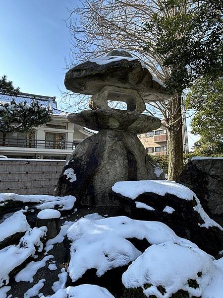 20230126 滋賀長濱 盆梅展 (6).JPG