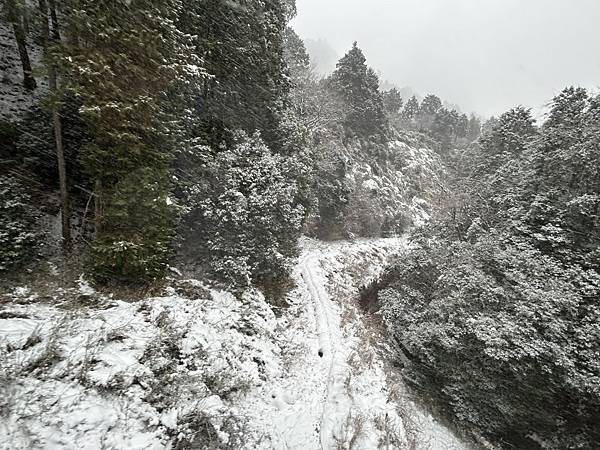 坂本登山纜車 (14).JPG