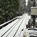 坂本登山纜車 (11).JPG