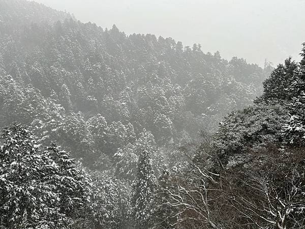 坂本登山纜車 (20).JPG