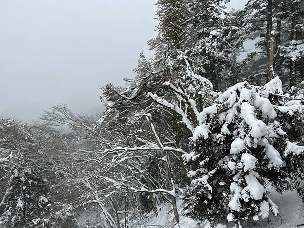 坂本登山纜車 (25).JPG