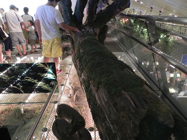 12118016:宜蘭縣頭城鎮 蘭陽博物館（Lanyang Museum）