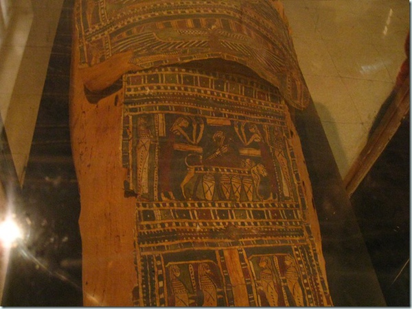 Aswan Museum (15)