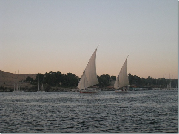 Felucca (26)