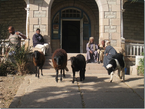 Aswan Museum (1)