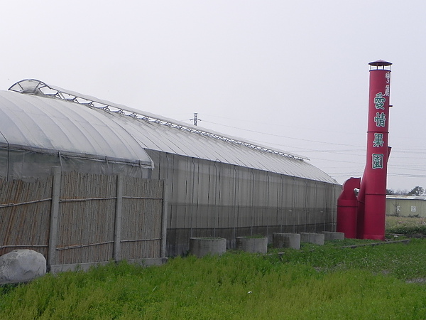 愛情果園 (3).jpg