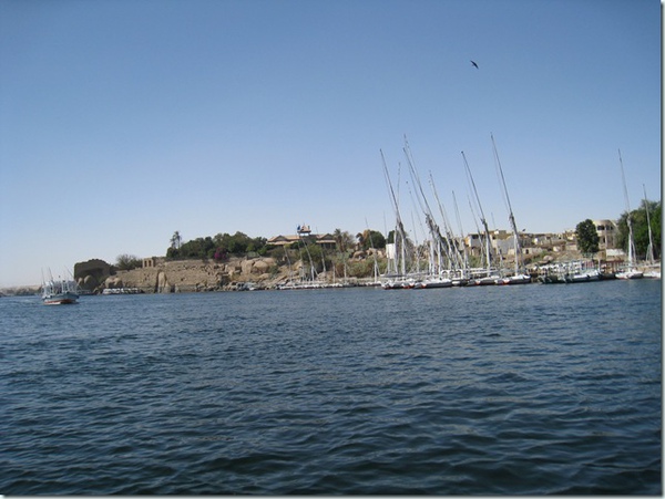 Aswan Museum(43)