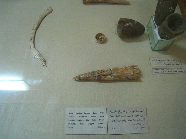 Aswan Museum (2).jpg
