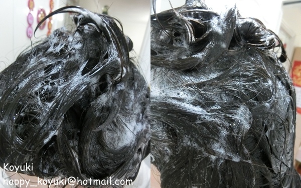 試用邀請_草木洗髮護理@May2018(3a).jpg 試用邀請_草木洗髮護理@May2018(3a).jpg