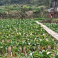 DSCF8783.JPG