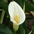 DSCF8784.JPG