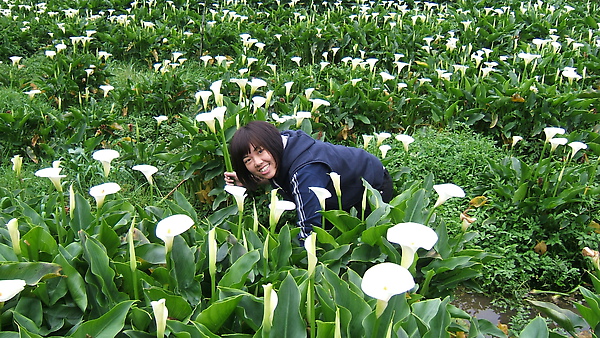 DSCF8794.JPG