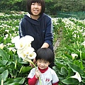 DSCF8800.JPG