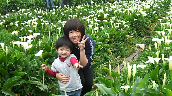 DSCF8803.JPG