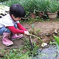 DSCF8808.JPG