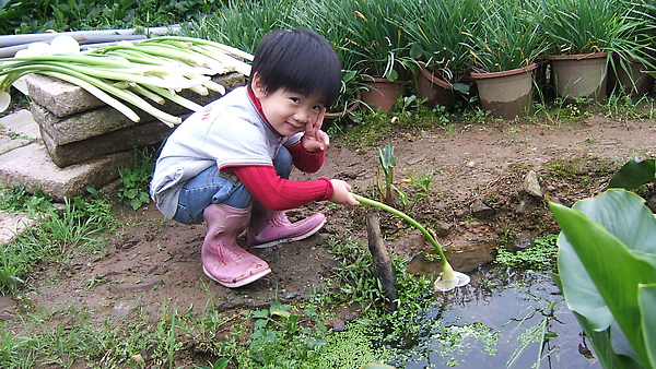 DSCF8809.JPG