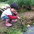 DSCF8809.JPG