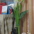 IMG_0315.jpg
