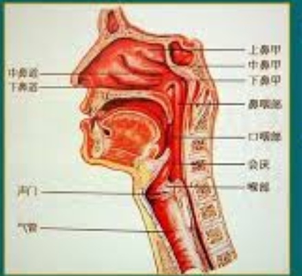 1529032161125.jpg 1529032161125.jpg