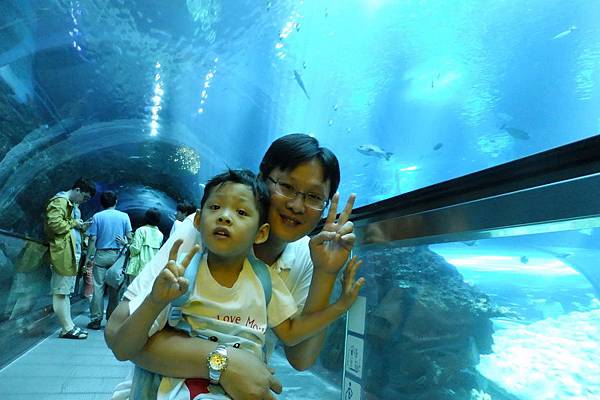 墾丁親子遊 屏東海生館