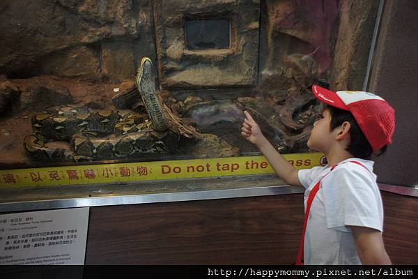 2012.09.23 貓空纜車 動物園 (31)