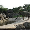 2012.09.23 貓空纜車 動物園 (57)