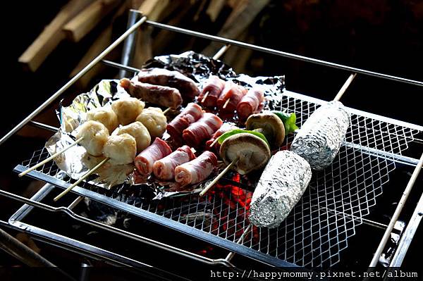 2012.11.03 親子郊遊 桃園 青林農場  烤肉 BBQ(14)