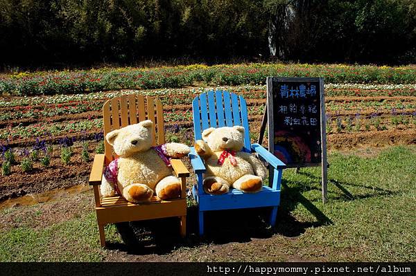 2012.11.03 親子郊遊 桃園 青林農場 彩虹花田