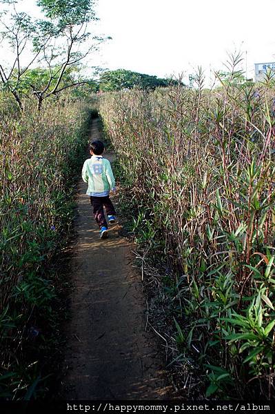 2012.11.03 親子郊遊 桃園 青林農場 植物迷宮