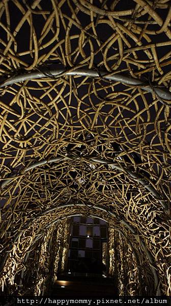 2012.11.17 回嘉義 森林之歌 (4)