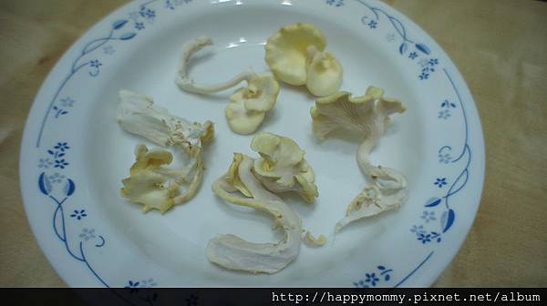 2012 在家種香菇 就是菇黃金菇 (10)