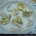 2012 在家種香菇 就是菇黃金菇 (10)