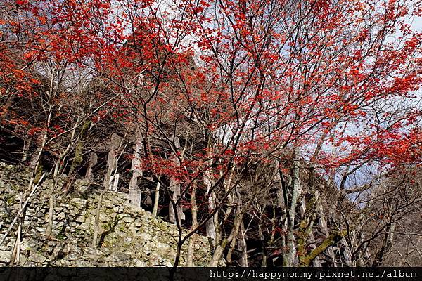 2012.12.24 京都穿和服到清水寺 (20)