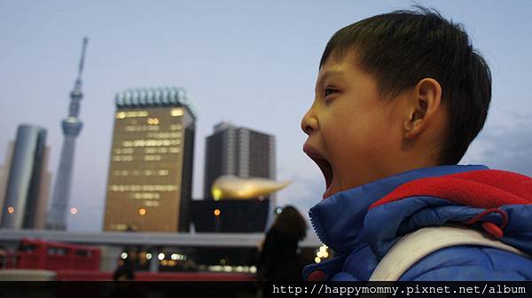 2014.12.30 東京大神宮 雷門 晴空塔 (122).JPG