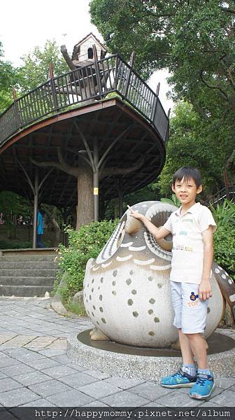 2015.07.11 桃園景點 虎頭山 奧爾森林學堂 貓頭鷹 (23).JPG