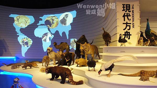 2015.08.29 台北市立動物園 教育中心 恐龍探索館 (3).JPG 2015.08.29 台北市立動物園 教育中心 恐龍探索館 (3).JPG