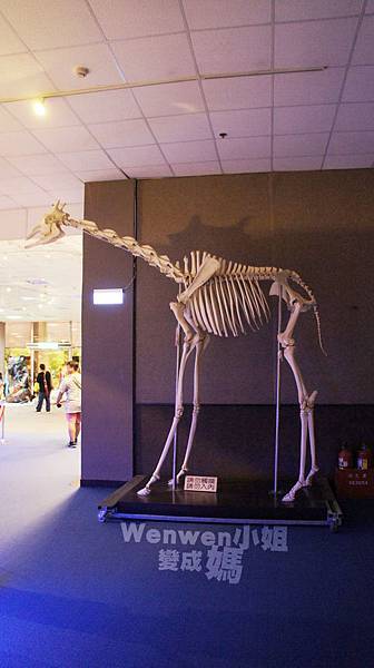 2015.08.29 台北市立動物園 教育中心 恐龍探索館 (6).JPG 2015.08.29 台北市立動物園 教育中心 恐龍探索館 (6).JPG