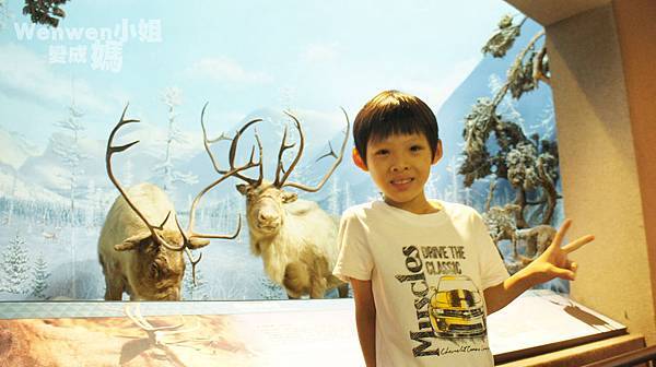 2015.08.29 台北市立動物園 教育中心 恐龍探索館 (8).JPG 2015.08.29 台北市立動物園 教育中心 恐龍探索館 (8).JPG