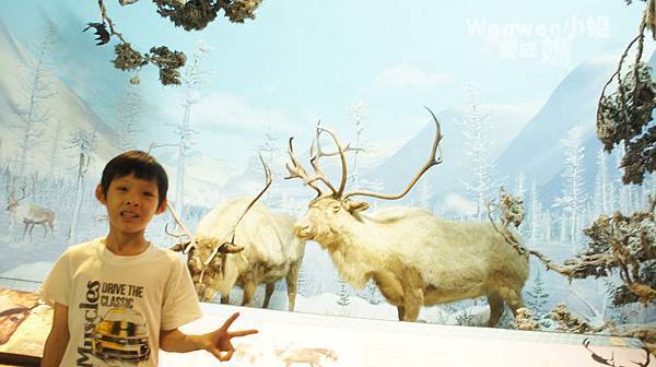 2015.08.29 台北市立動物園 教育中心 恐龍探索館 (9).JPG 2015.08.29 台北市立動物園 教育中心 恐龍探索館 (9).JPG