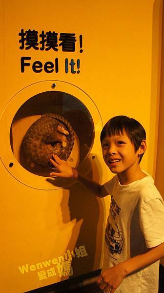 2015.08.29 台北市立動物園 教育中心 恐龍探索館 (15).JPG 2015.08.29 台北市立動物園 教育中心 恐龍探索館 (15).JPG