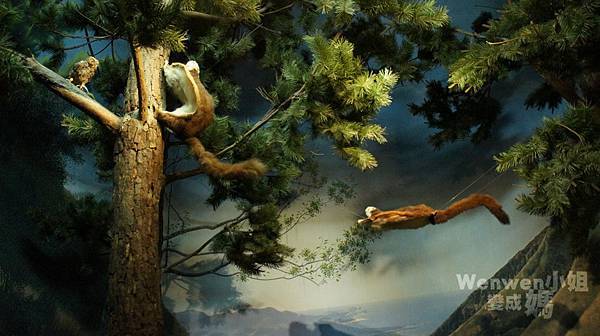 2015.08.29 台北市立動物園 教育中心 恐龍探索館 (17).JPG 2015.08.29 台北市立動物園 教育中心 恐龍探索館 (17).JPG