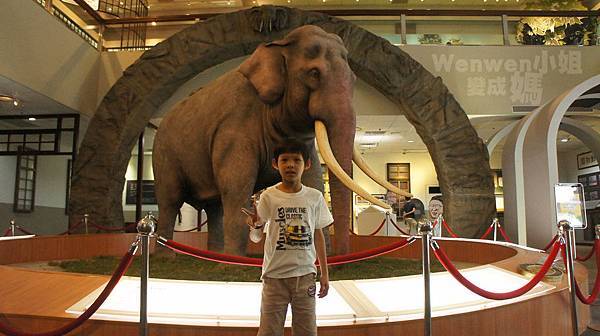 2015.08.29 台北市立動物園 教育中心 恐龍探索館 (18).JPG 2015.08.29 台北市立動物園 教育中心 恐龍探索館 (18).JPG