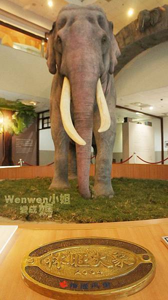 2015.08.29 台北市立動物園 教育中心 恐龍探索館 (19).JPG 2015.08.29 台北市立動物園 教育中心 恐龍探索館 (19).JPG