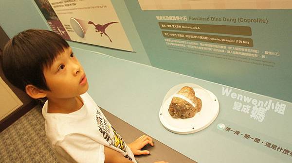 2015.08.29 台北市立動物園 教育中心 恐龍探索館 (21).JPG 2015.08.29 台北市立動物園 教育中心 恐龍探索館 (21).JPG