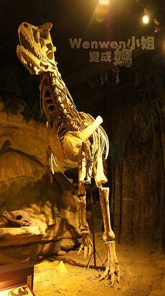 2015.08.29 台北市立動物園 教育中心 恐龍探索館 (23).JPG 2015.08.29 台北市立動物園 教育中心 恐龍探索館 (23).JPG