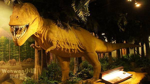 2015.08.29 台北市立動物園 教育中心 恐龍探索館 (27).JPG 2015.08.29 台北市立動物園 教育中心 恐龍探索館 (27).JPG