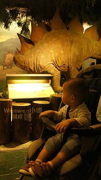 2015.08.29 台北市立動物園 教育中心 恐龍探索館 (29).JPG 2015.08.29 台北市立動物園 教育中心 恐龍探索館 (29).JPG