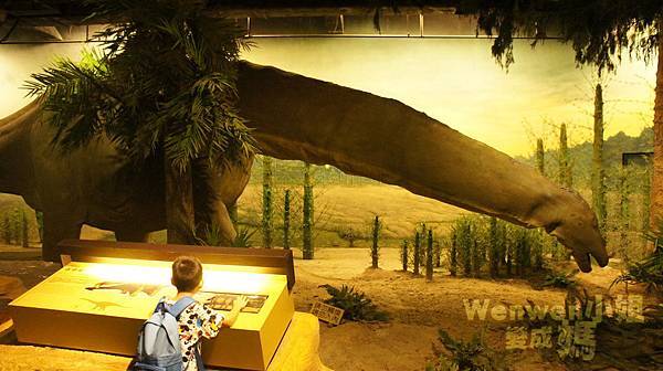 2015.08.29 台北市立動物園 教育中心 恐龍探索館 (30).JPG 2015.08.29 台北市立動物園 教育中心 恐龍探索館 (30).JPG