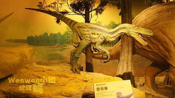 2015.08.29 台北市立動物園 教育中心 恐龍探索館 (33).JPG 2015.08.29 台北市立動物園 教育中心 恐龍探索館 (33).JPG