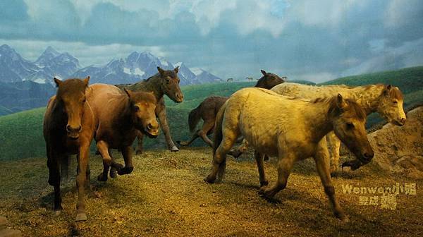 2015.08.29 台北市立動物園 教育中心 恐龍探索館 (42).jpg 2015.08.29 台北市立動物園 教育中心 恐龍探索館 (42).jpg